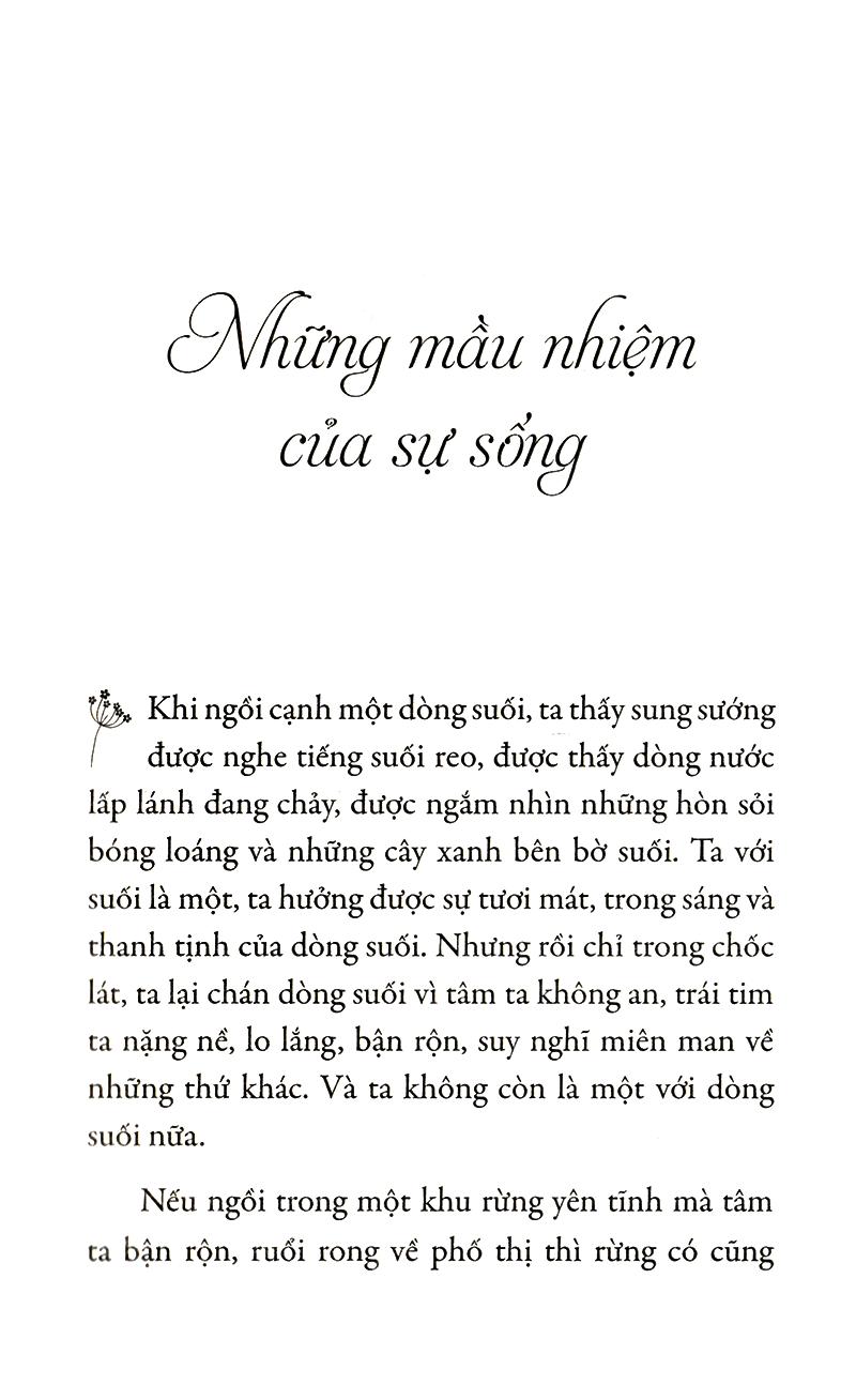 Hạnh Phúc Cầm Tay (Tái Bản)