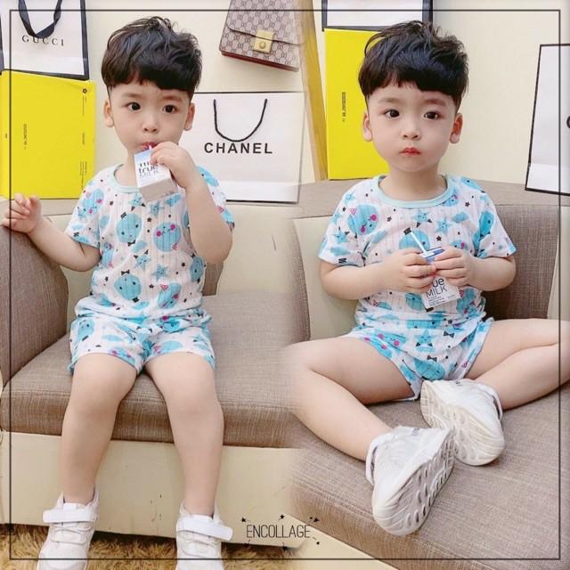 Bộ cộc tay cài vai cotton giấy cho bé sơ sinh, hàng đẹp