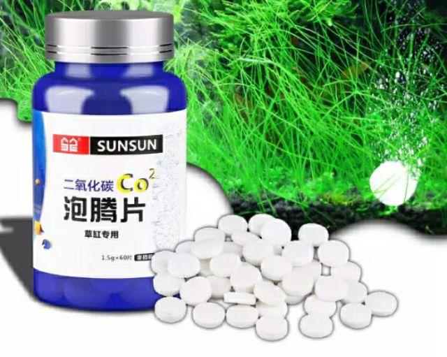 Viên sủi CO2 cho hồ thủy sinh