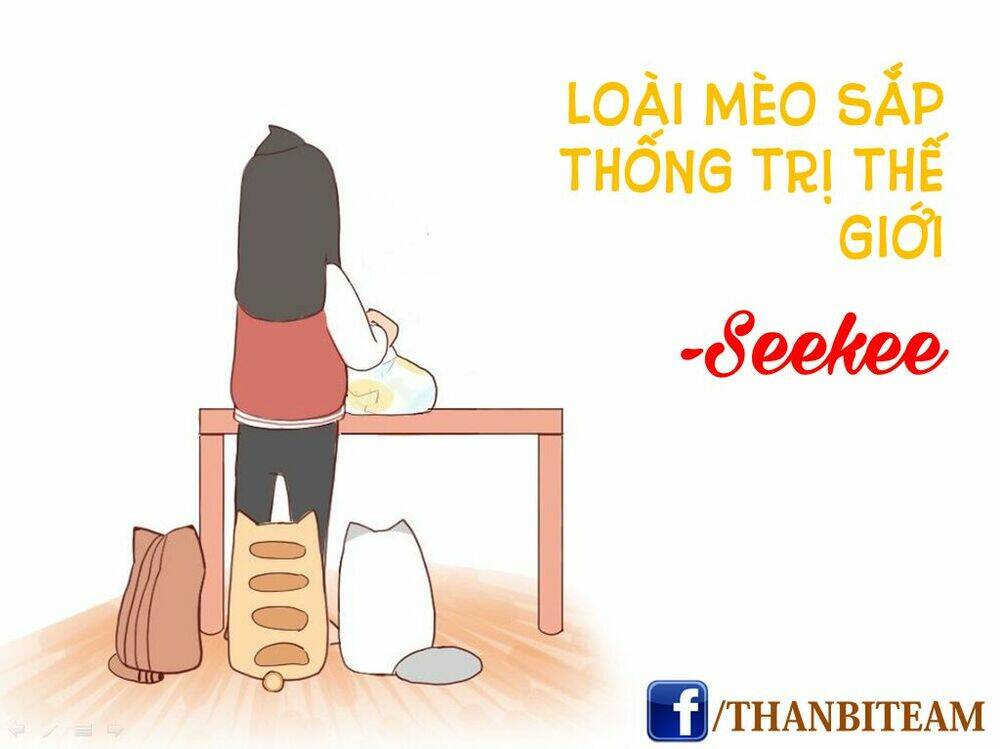 saphie: chú mèo một mắt chapter 2 9