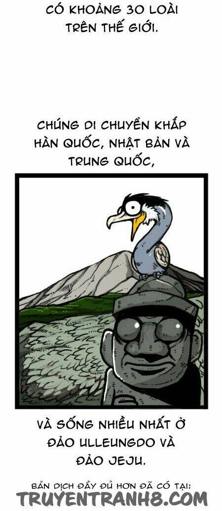 earth, human, and animal chapter 20 16