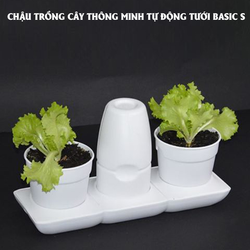 BỘ CHẬU TRỒNG RAU THÔNG MINH TỰ ĐỘNG TƯỚI trong vòng 2 tháng BASIC S, sử dụng 10 năm