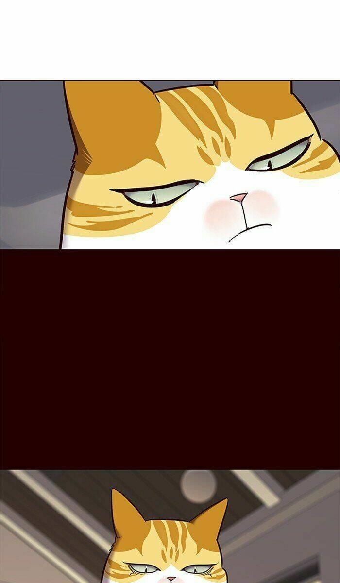 biến thân thành mèo chapter 67 37