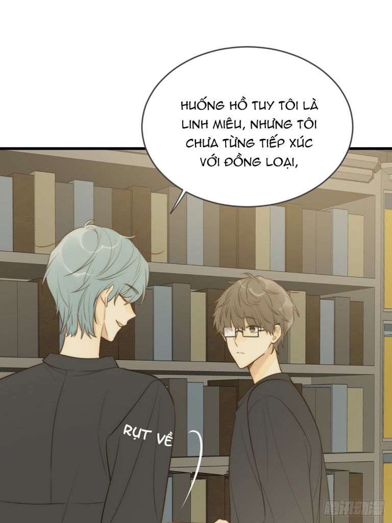 Chỉ Có Đuôi Là Không Thể Chapter 40 - Next Chapter 41