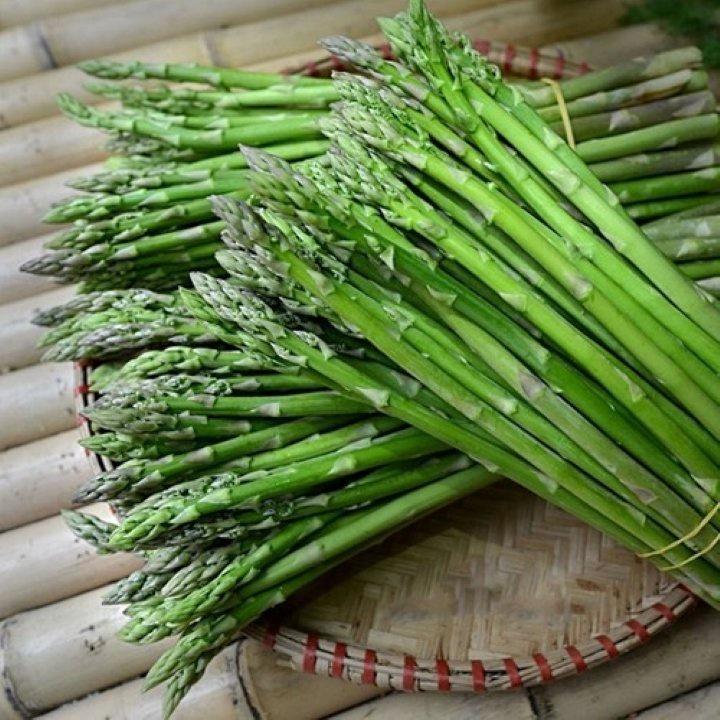 Hạt giống măng tây HN gói 0.1gr
