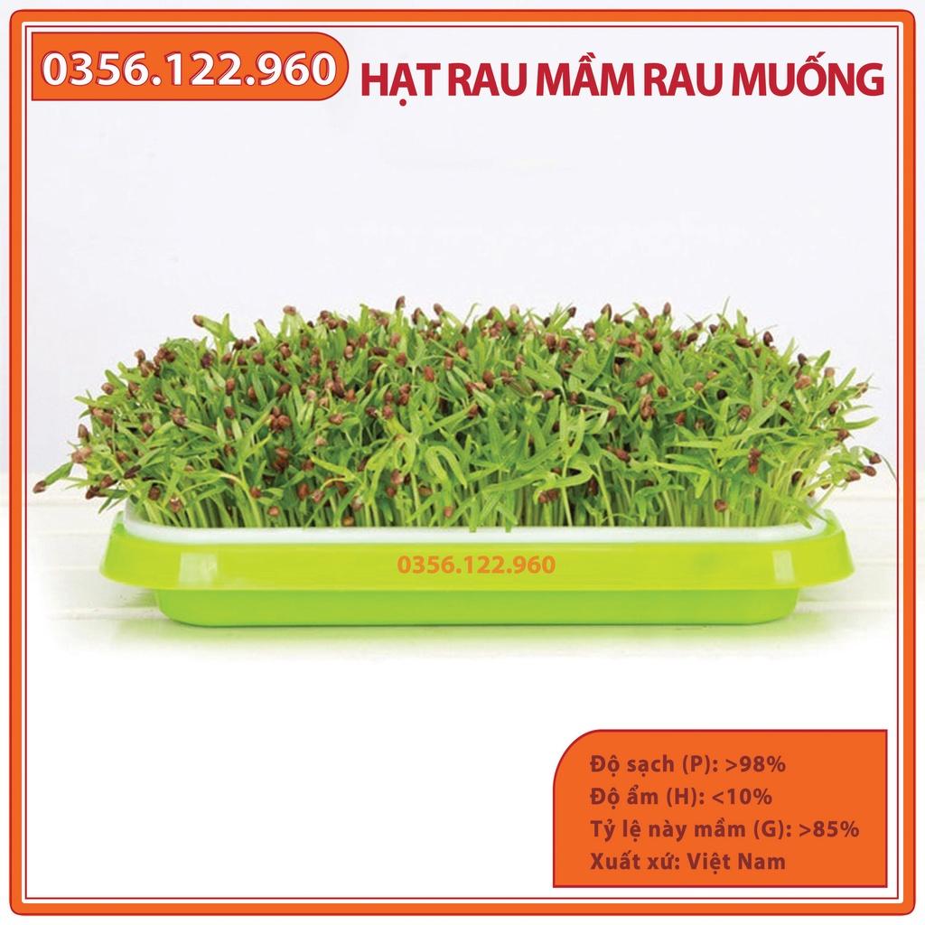 Combo 10 Gói 50gam Hạt rau mầm rau muống - Hạt đểu đẹp, tỷ lện nảy mầm cao