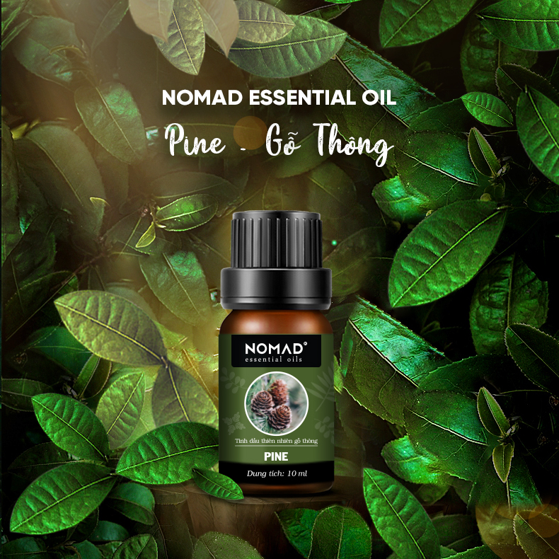 Combo 3 Tinh Dầu Nguyên Chất Nomad: Tinh Dầu Sả Chanh (10ml) + Tinh Dầu Gỗ Thông (10ml) + Tinh Dầu Vỏ Cam 10ml)