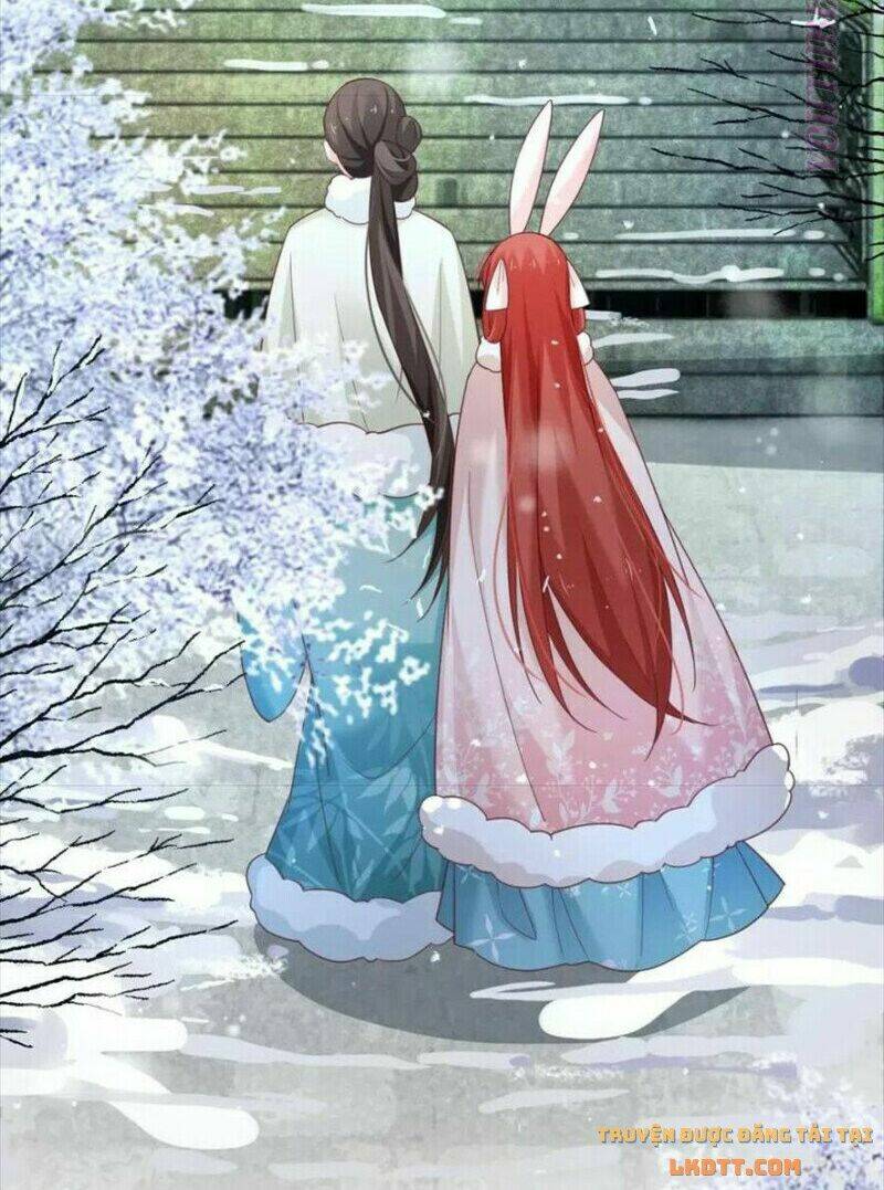 hắc hóa nam chính trực tuyến nuôi thỏ chapter 55 36