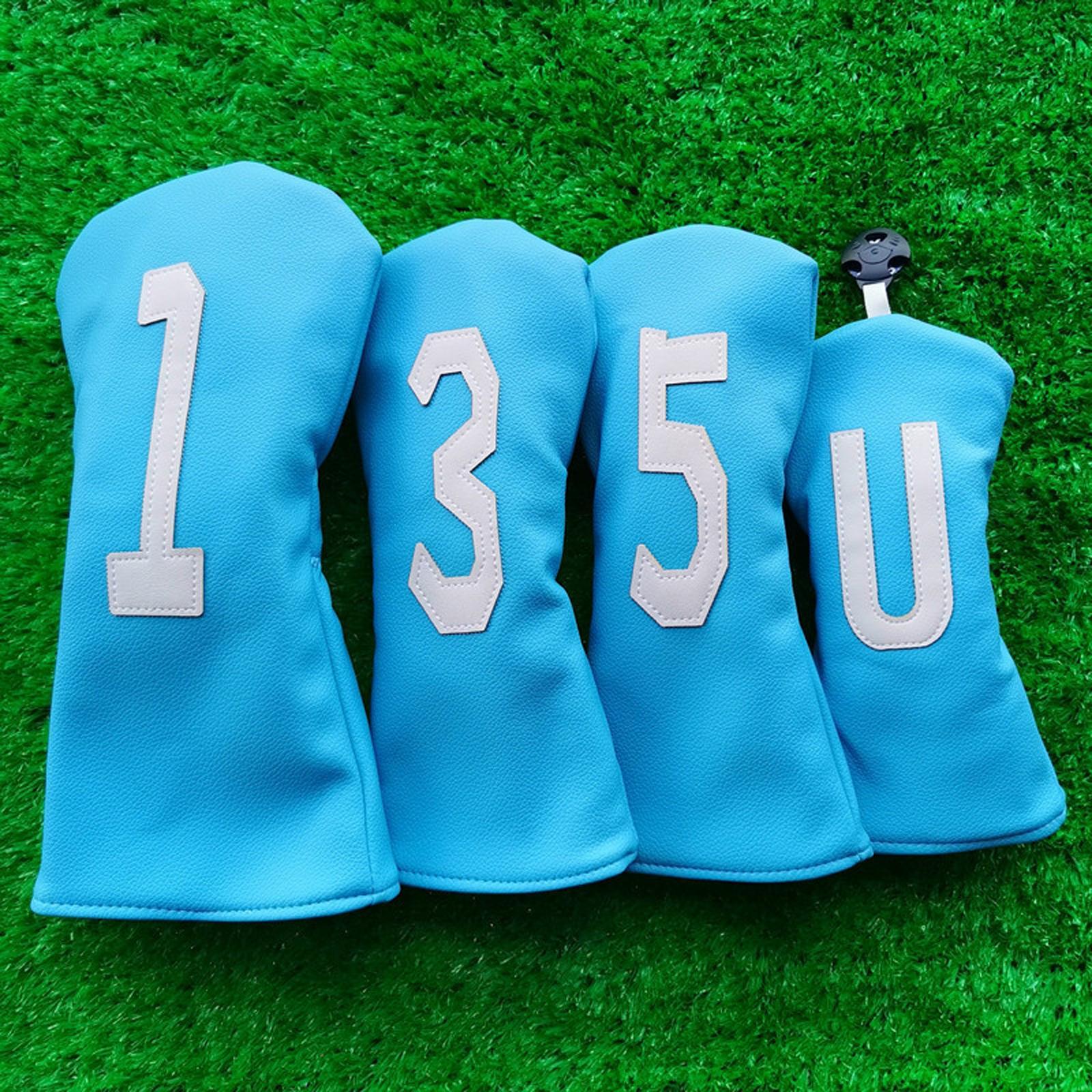 Adults Teenagers Men Women Golfer White