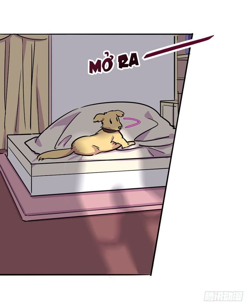 ngôn tình nam chính không thẳng được chapter 7 4