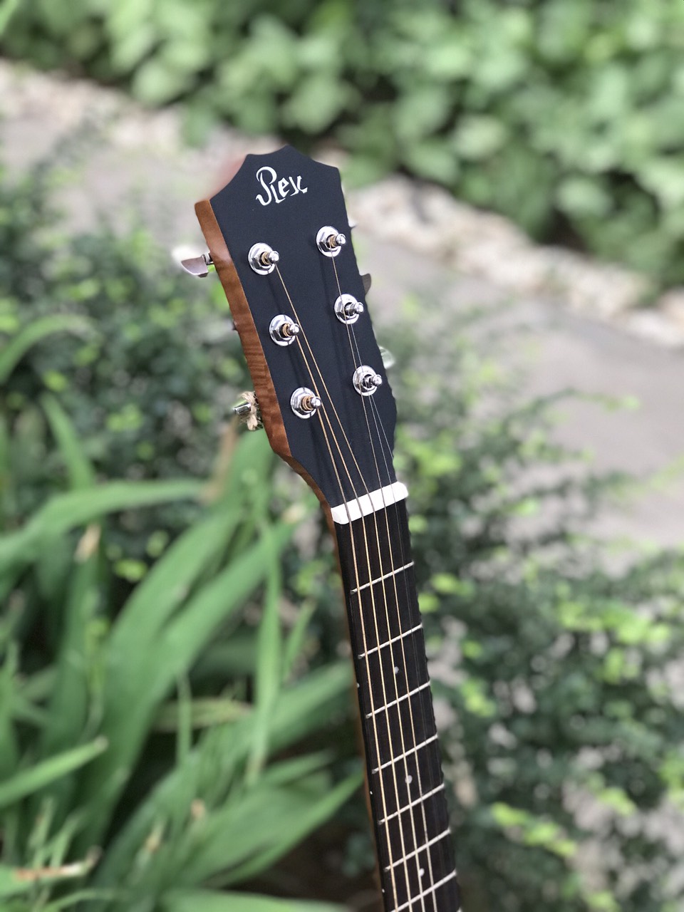 Đàn guitar acoustic Rex RD1CNM-Hàng nhập khẩu- Tặng bao da 3 lớp