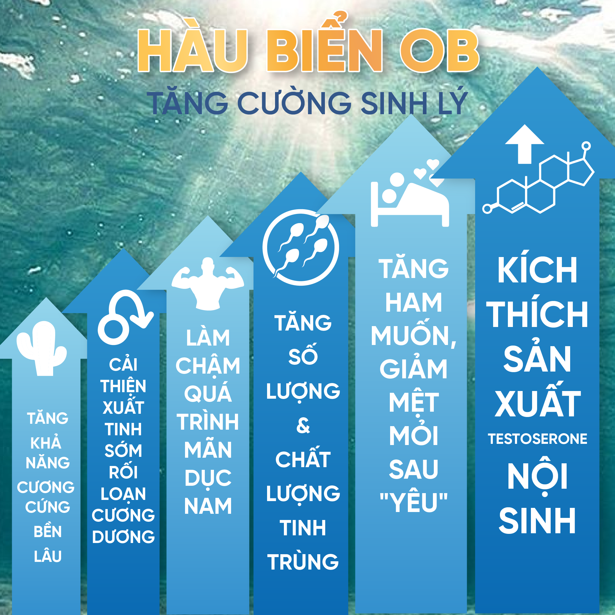 Thực Phẩm Chức Năng Tinh Hàu Biển OB - Tăng Cường Sinh Lý Nam Giới (Chai 30 viên)