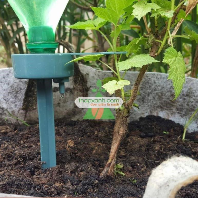 Bộ 5 Que cắm tưới lắp chai C-03, Đầu cắm tưới nhỏ giọt 3 chế độ, Que cắm nhỏ giọt lắp chai nhựa pet 206801-2