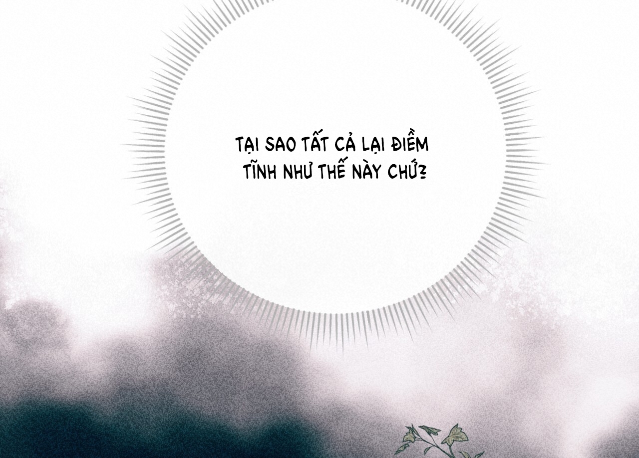 hợp đồng hôn nhân với hai người chồng chapter 13.2 81