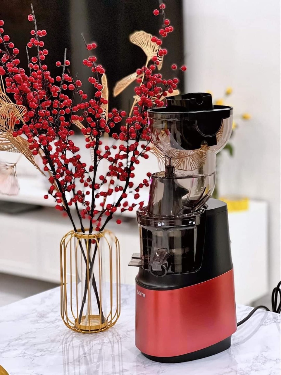 Máy Ép Hoa Quả Rau Củ Tốc Độ Chậm SAVTM JE-35 cỡ lớn ép cả quả giữ nguyên chất dinh dưỡng