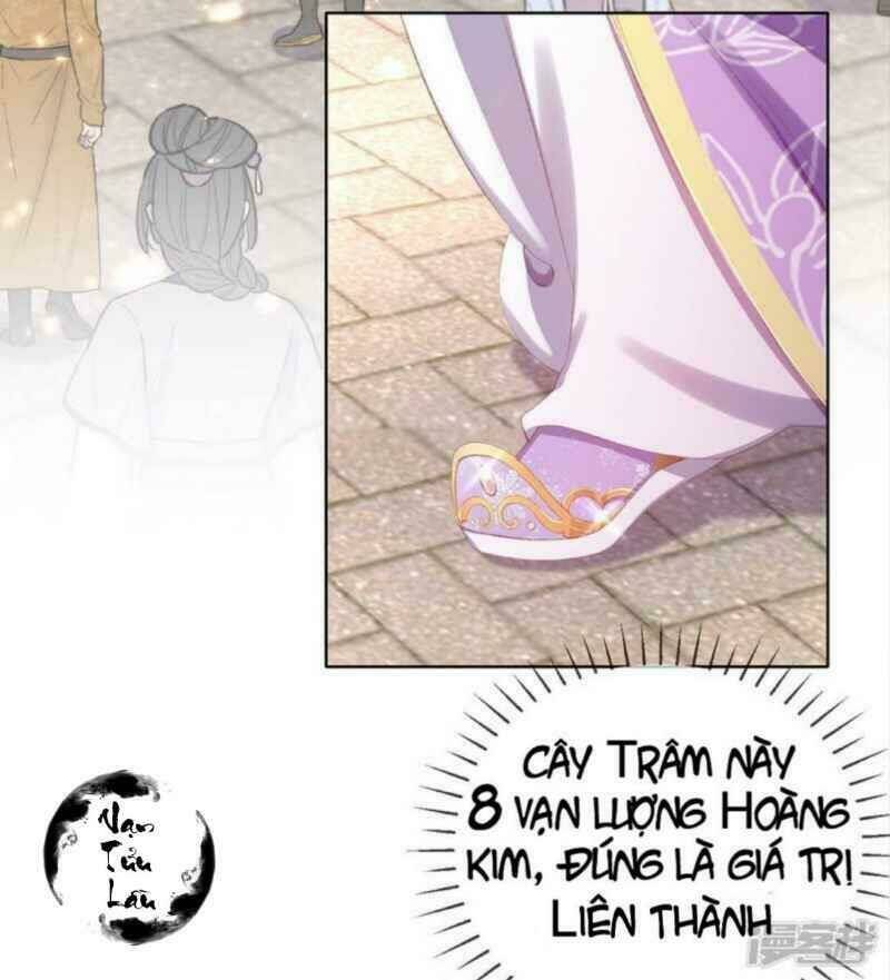 thị huyết y phi chapter 40 33