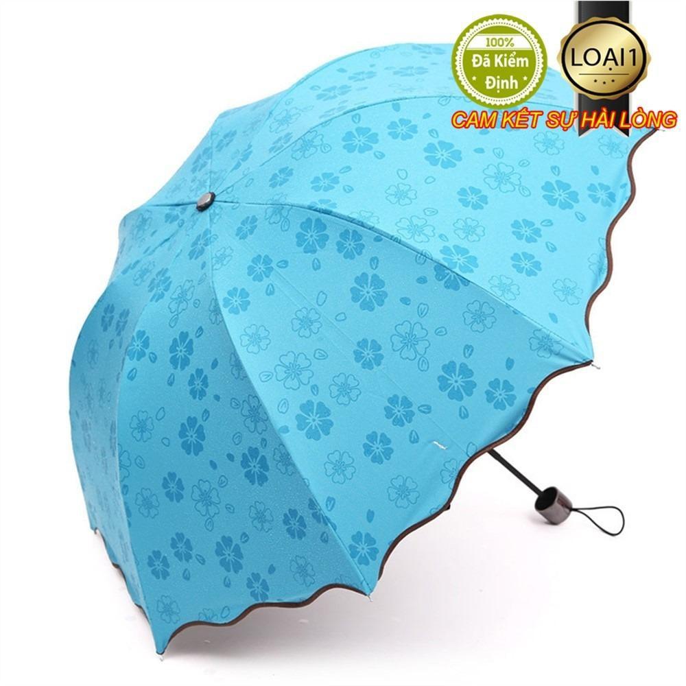Dù đi mưa gặp nước tự động nở hoa nhiều màu