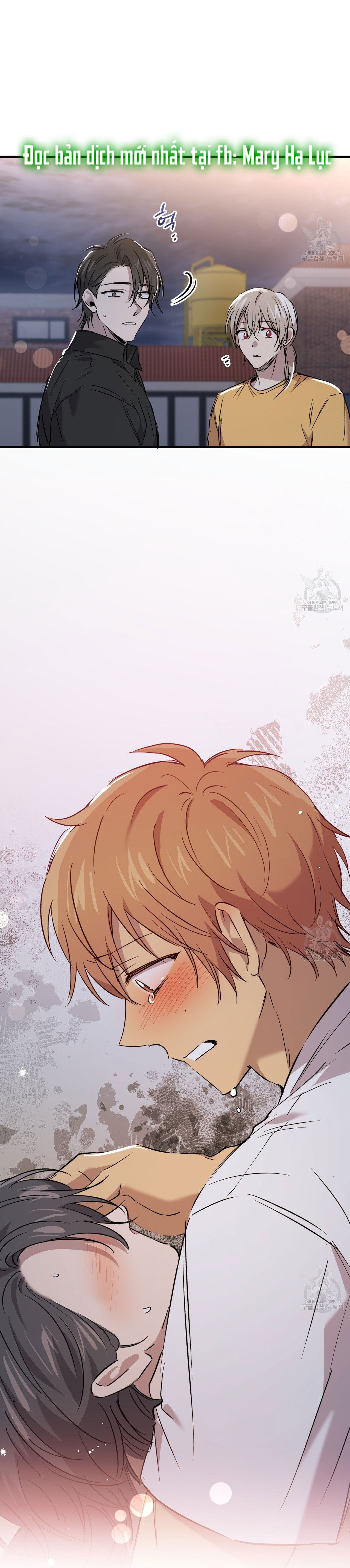 những chú thỏ của hapypy chapter 58.2 21