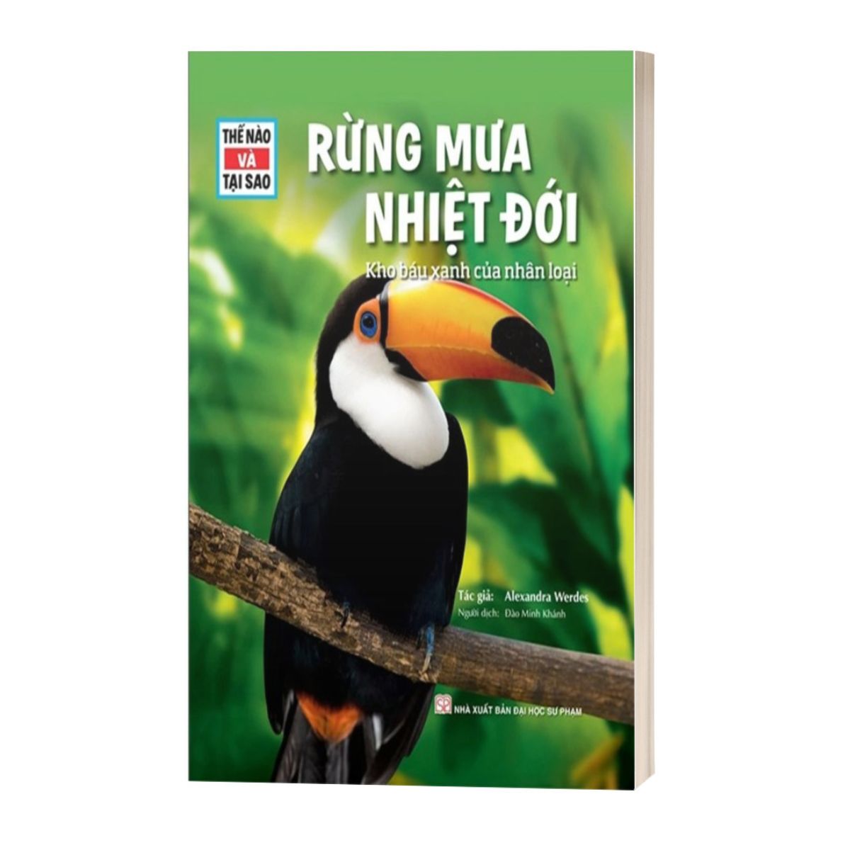 Thế Nào Và Tại Sao - Rừng Mưa Nhiệt Đới