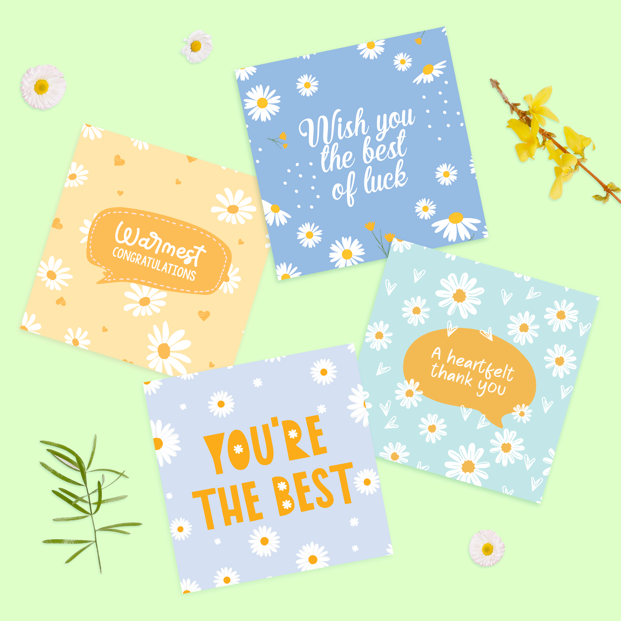 Set 4 thiệp chúc mừng, cảm ơn, động viên chúc may mắn SDstationery DAISY 12x12 họa tiết hoa cúc trang nhã màu sắc nhẹ nhàng