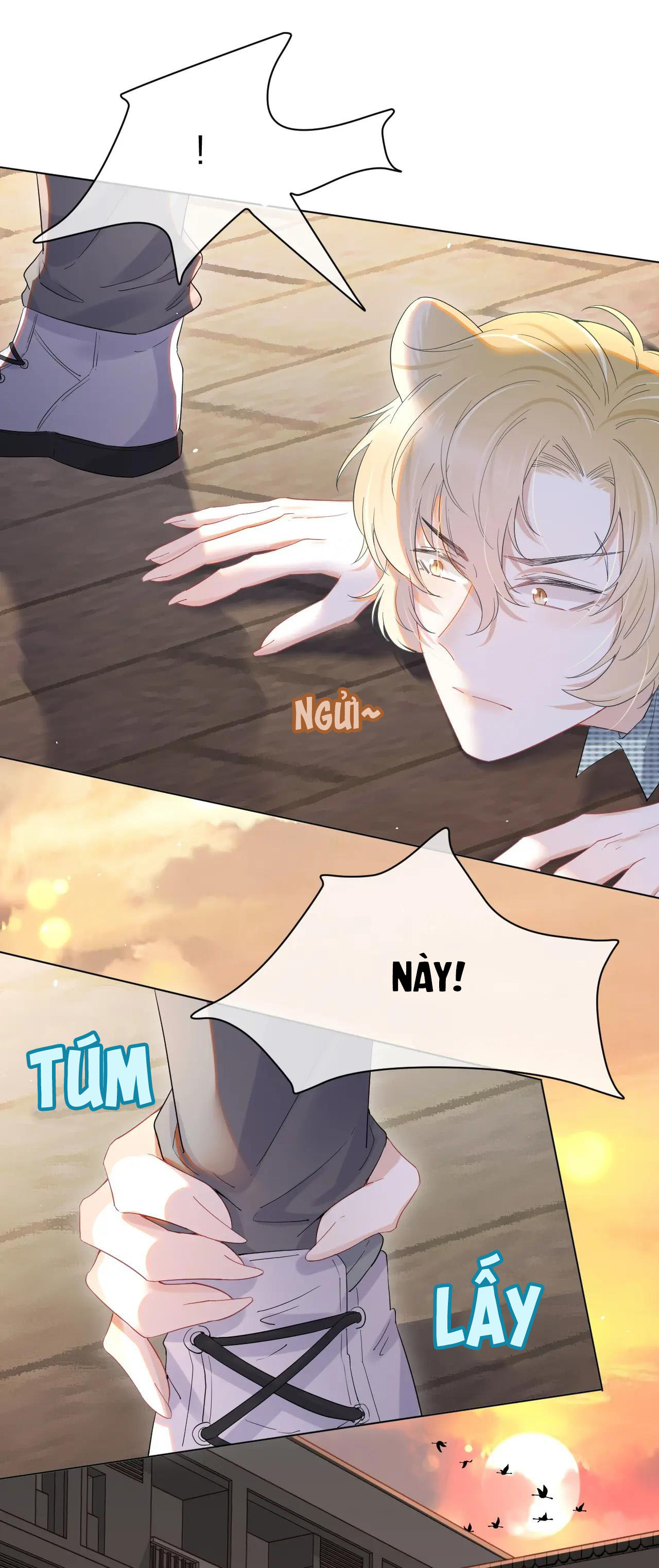 một miếng ăn sạch thỏ chapter 16 20