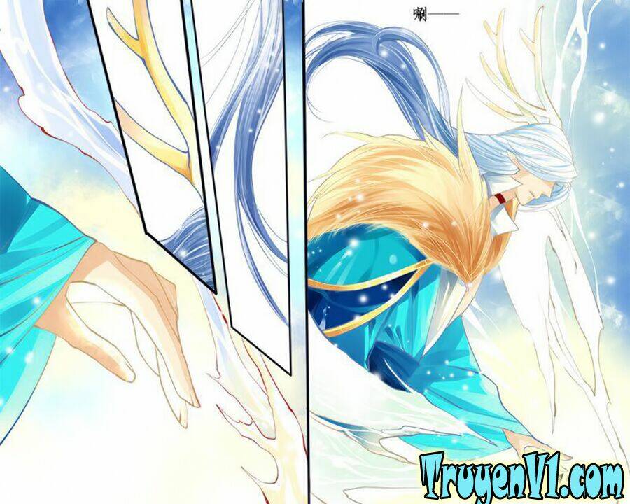 long phượng trình tường chapter 110 7