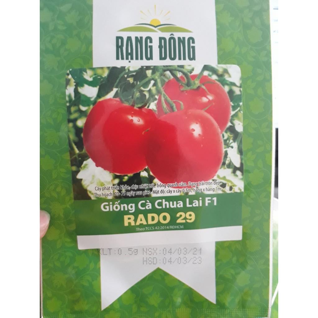 Hạt giống Cà chua lai F1 Rado, đóng gói 0.5gr