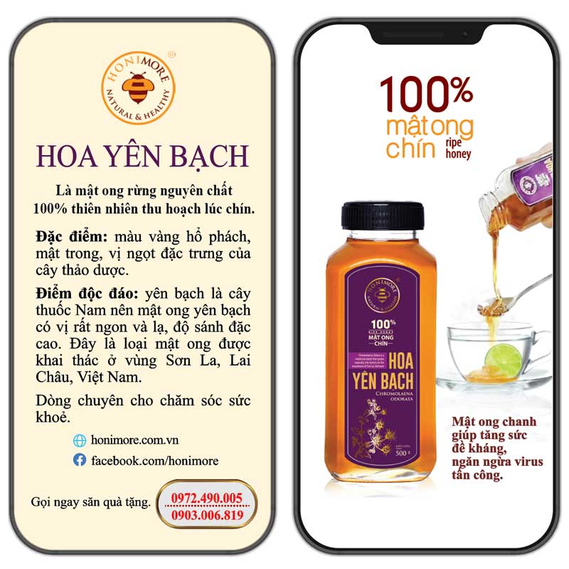 Mật ong rừng nguyên chất Honimore hoa Yên Bạch 500g  + Tặng mật ong Cao Nguyên 500g: tăng cường sức đề kháng.