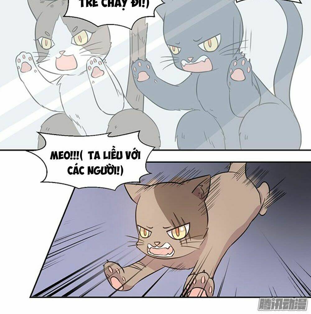 hai chú mèo totem chapter 22 21