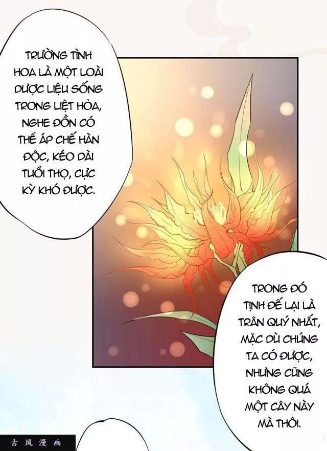 tuyệt thế luyện đan sư chapter 23 15