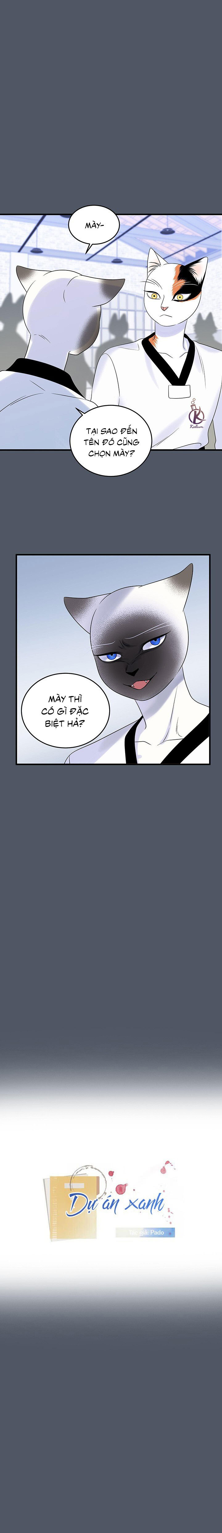 dự án xanh chapter 41 1