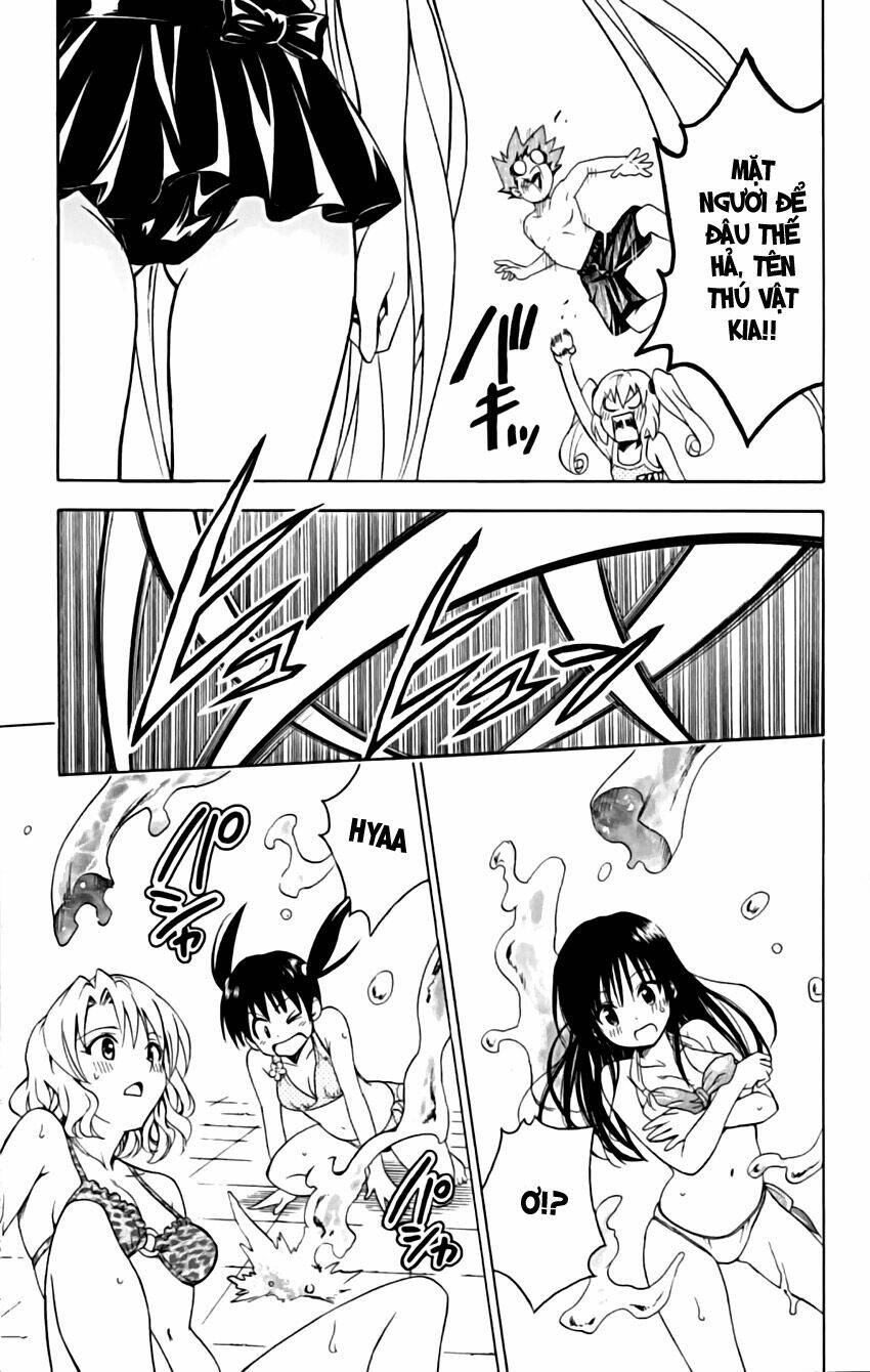 bọn tớ thích cậu! rito chapter 160 16