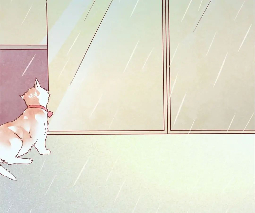 chỉ dẫn nuôi dạy bạn trai chapter 1 118