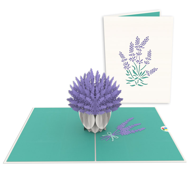 Thiệp 3D pop up Hoa Lavender