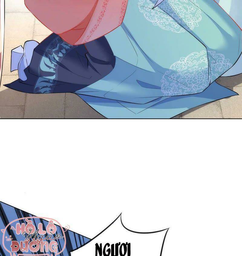 quận chúa vững vàng, thiết lập nhân vật không thể vỡ chapter 41 37