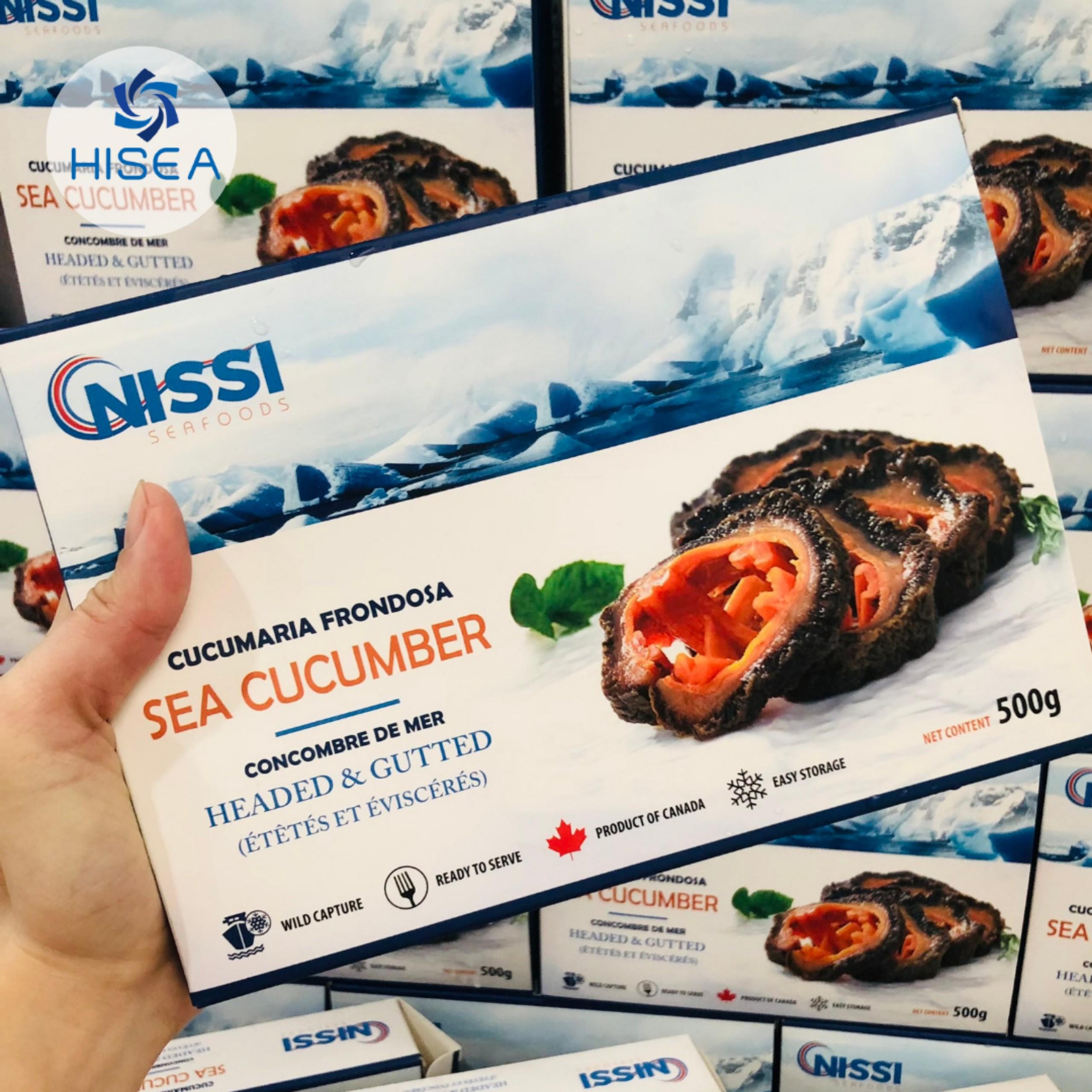 Hải sâm canada tươi- Hộp 500gr