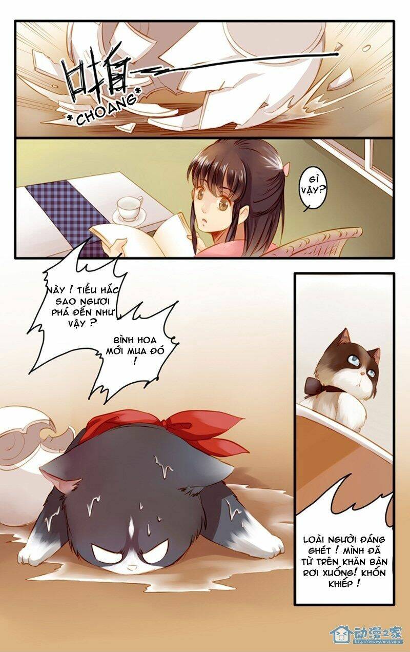 hằng mộng nam thần chapter 22 10