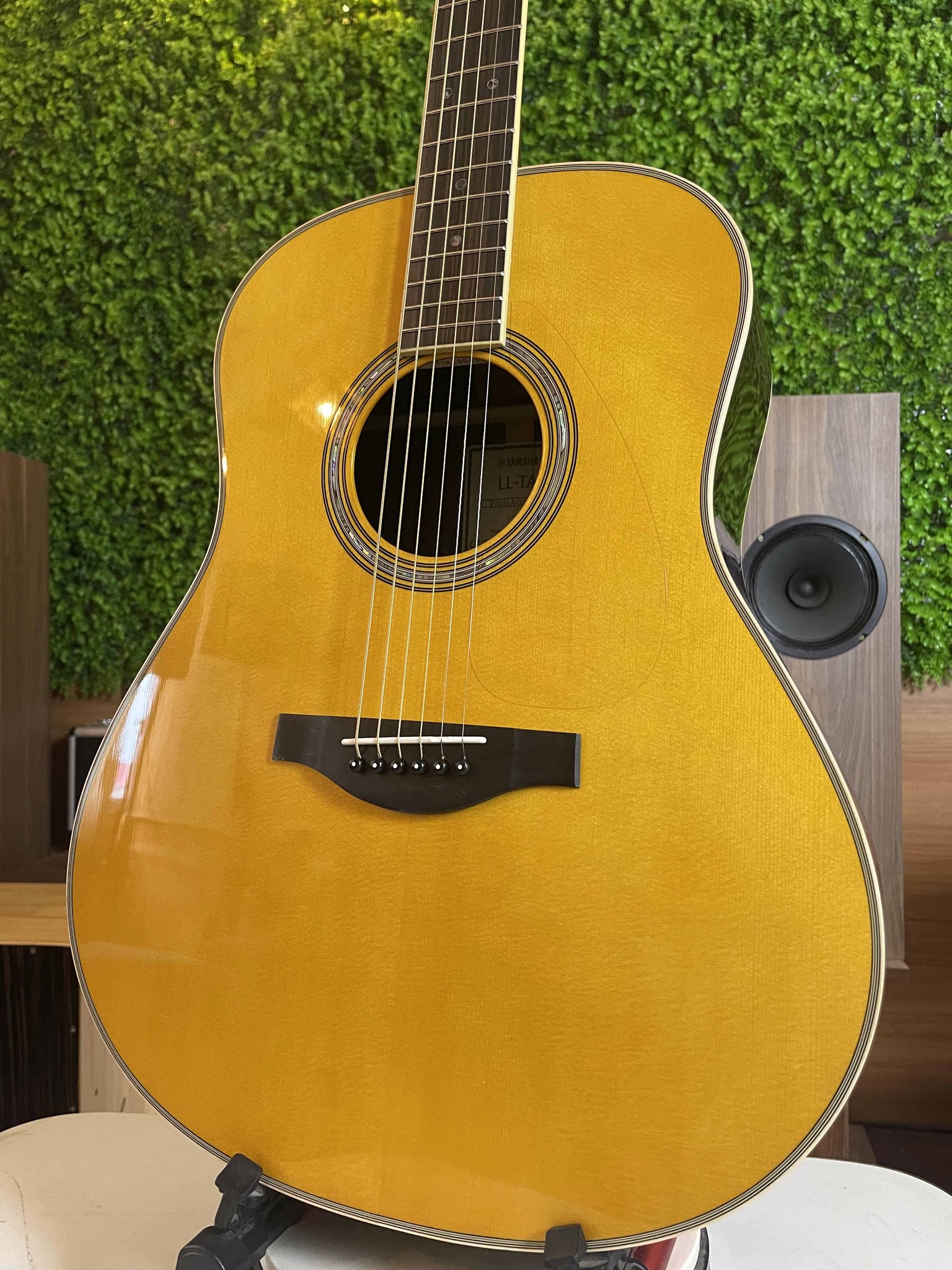 Đàn Guitar Acoustic Yamaha LL-TA