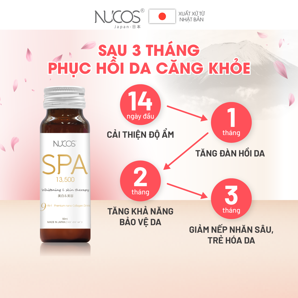 Combo 4 hộp Collagen uống thủy phân hỗ trợ chống lão hóa phục hồi da Nucos Spa 13500​ 10 chai x 50ml