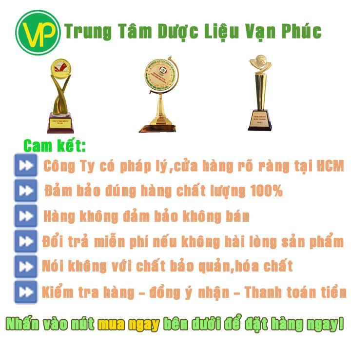 CHUẨN Cây giống trinh nữ hoàng cung 1 củ