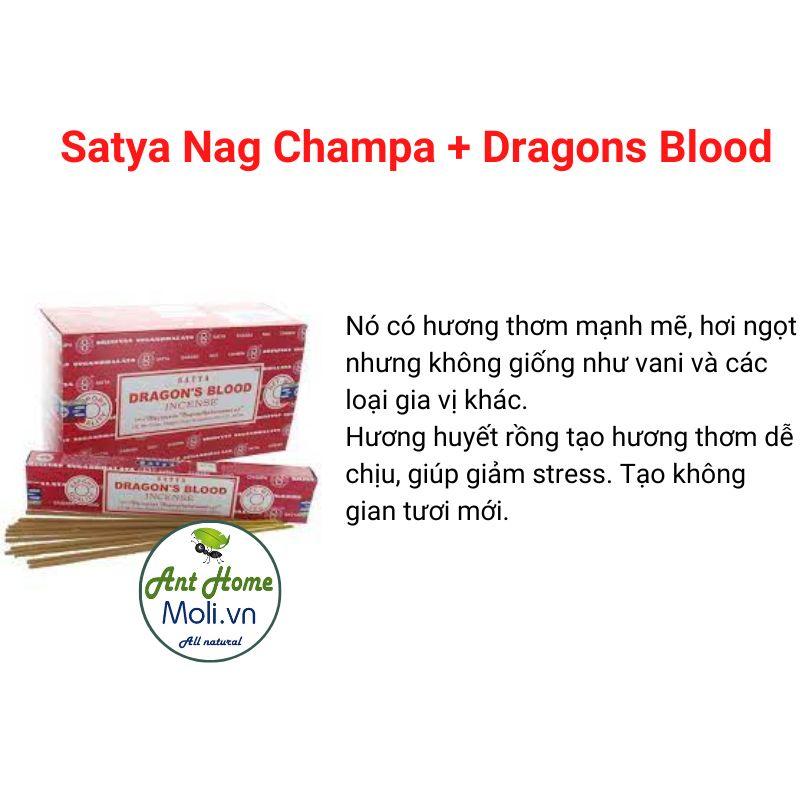 Thanh nhang Satya Nag Champa + Dragons Blood hương thanh tẩy và bảo vệ