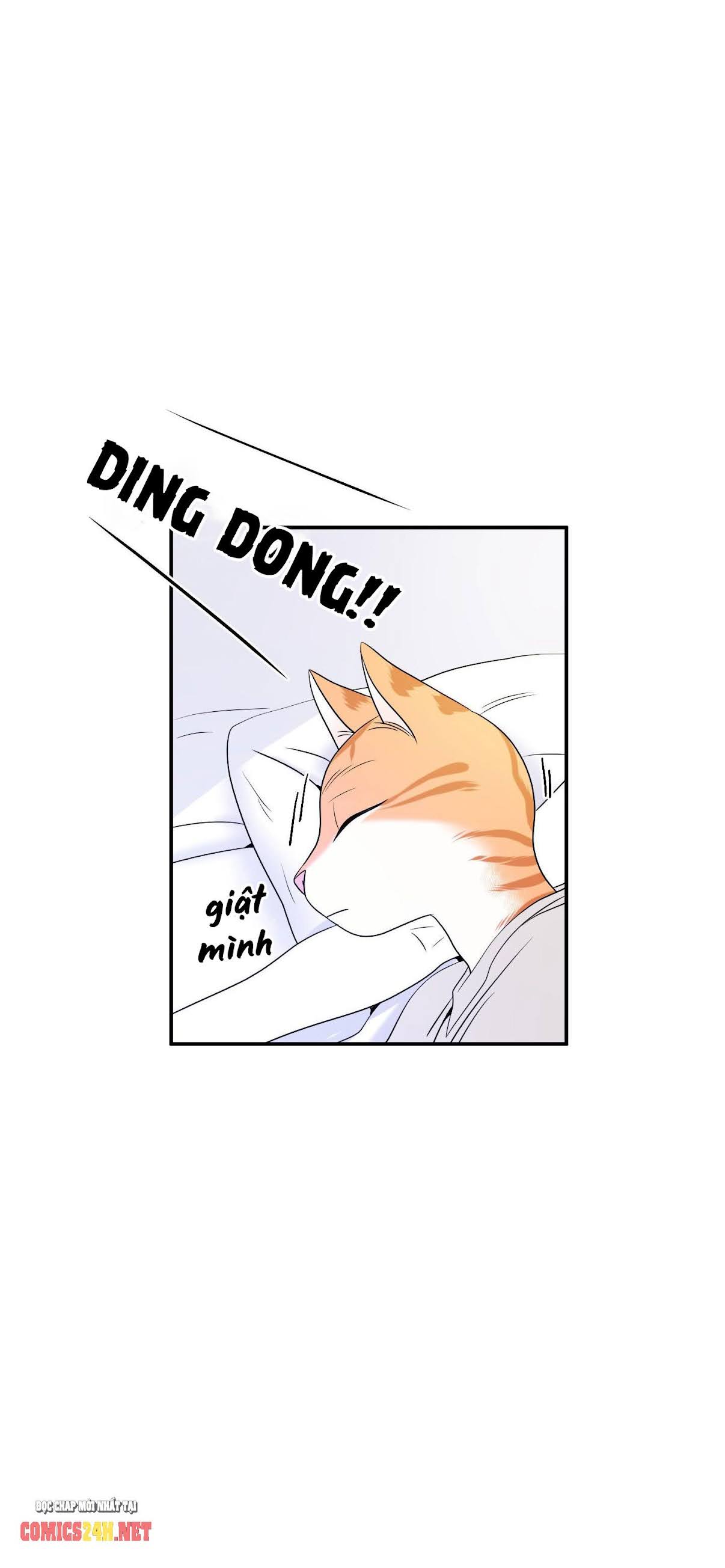 dự án xanh chapter 2 19