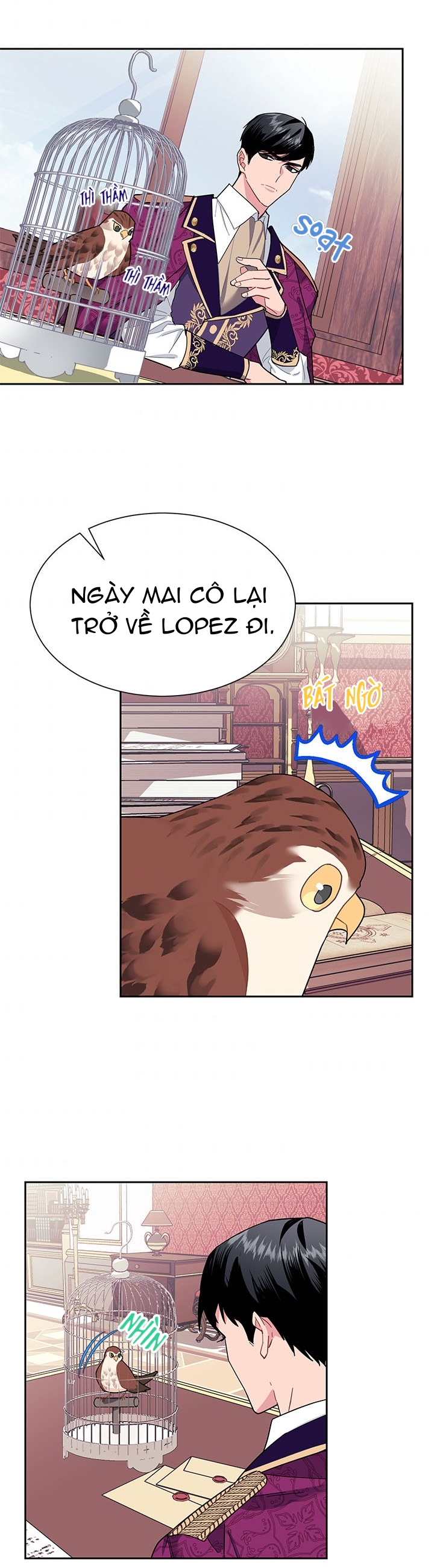 công chúa của loài chim chapter 13 28