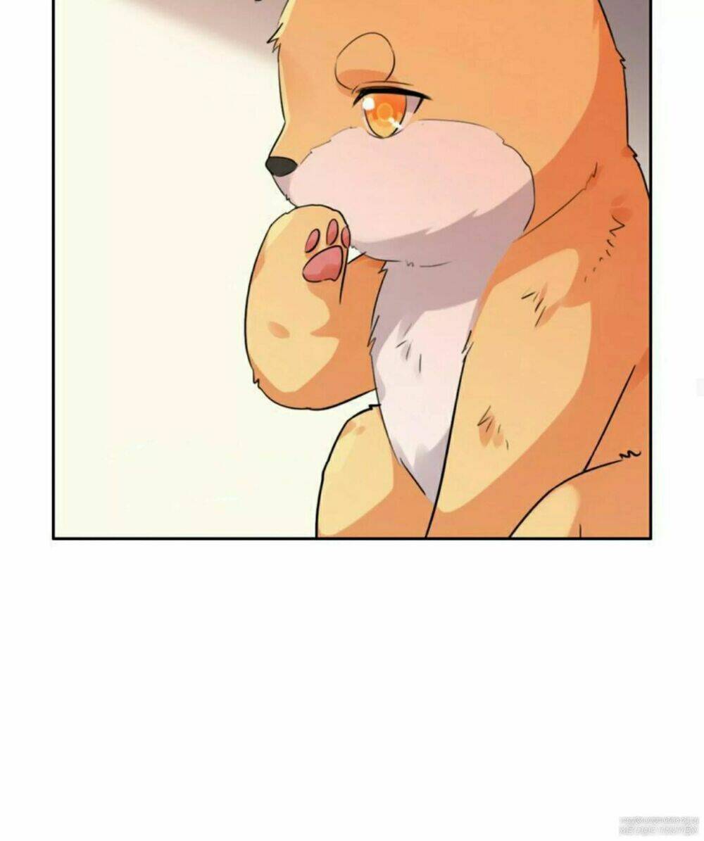 hôm nay lại cũng không thể biến thành người được chapter 6 43