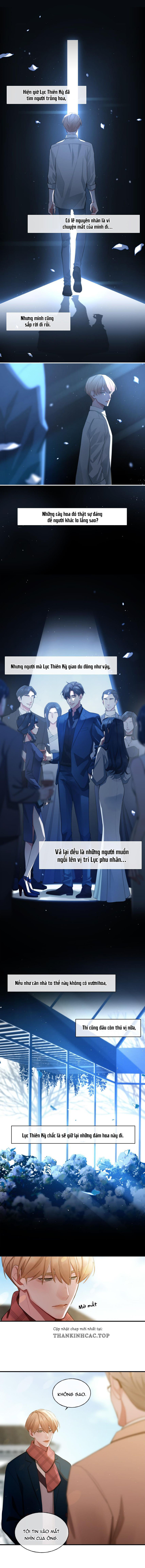 sau khi rời xa anh chapter 1 4