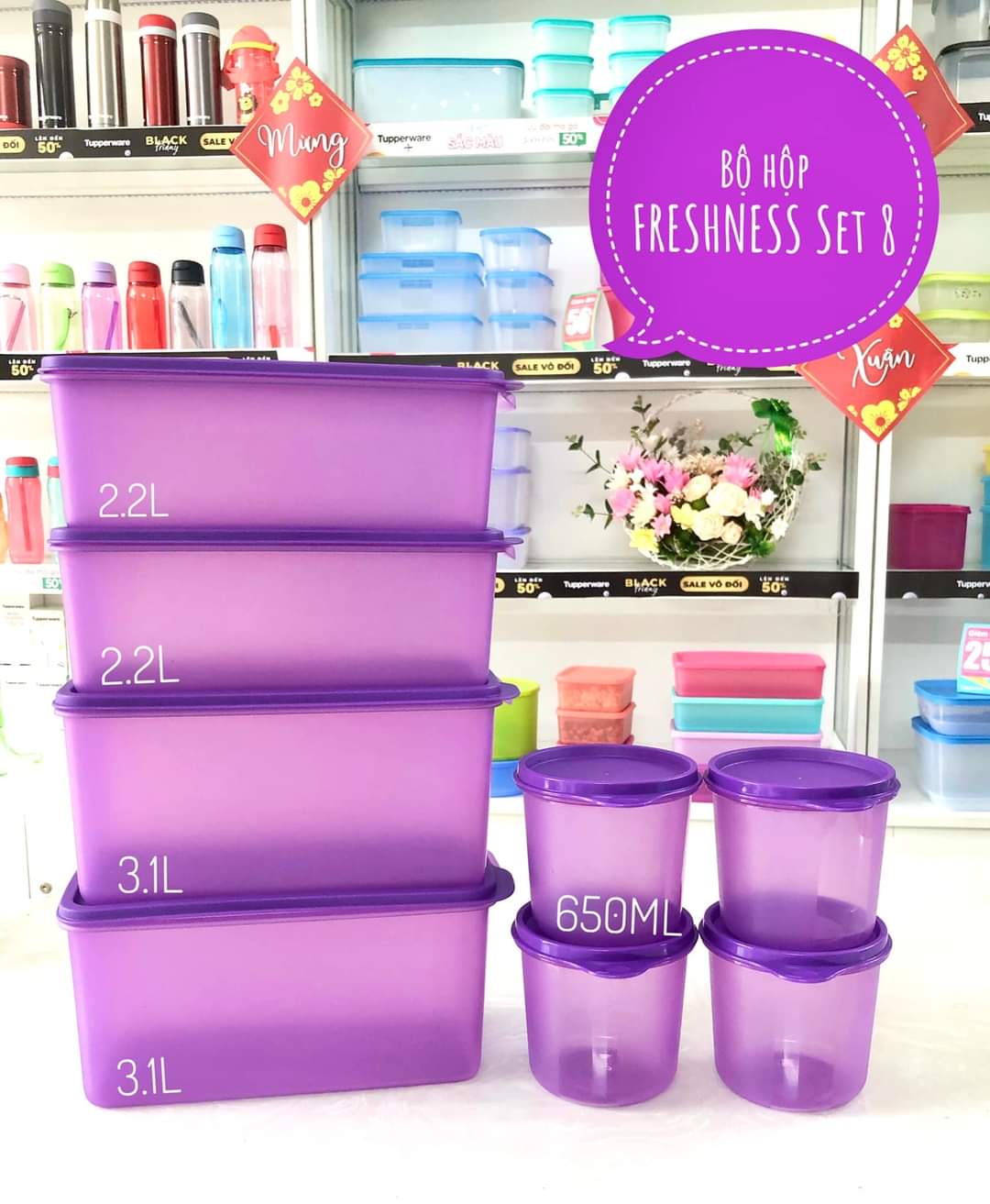 BỘ TRỮ KHÔ &amp; MÁT FRESHNESS COLLECTION SET 8