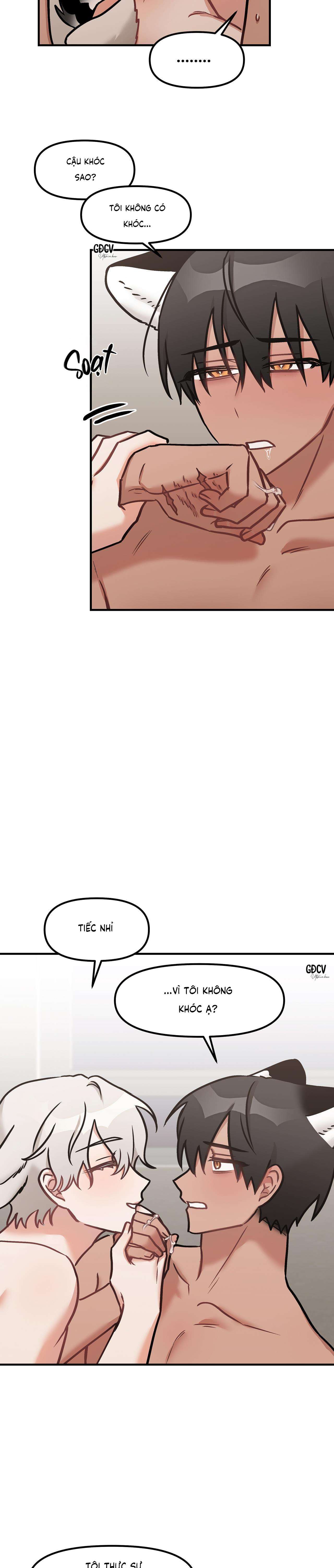 thưa ngài hổ, tôi đã ăn rất ngon miệng chapter 24 12