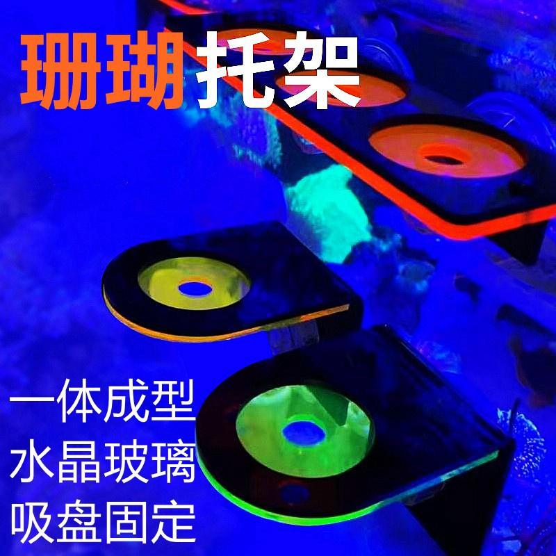 Giá đỡ san hô Acrylic Màu Dạ Quang - frag san hô- Scol bể cá san hô có hít kính - phụ kiện hồ nước mặn -shopleo