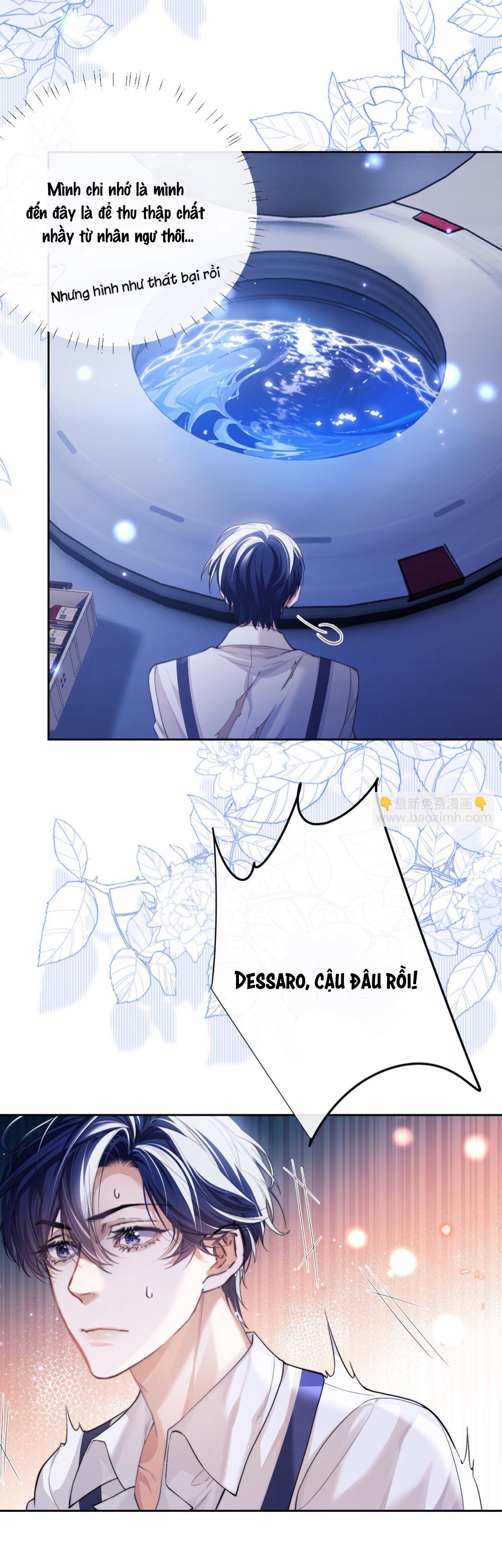 nhân ngư dessaro chapter 5 4