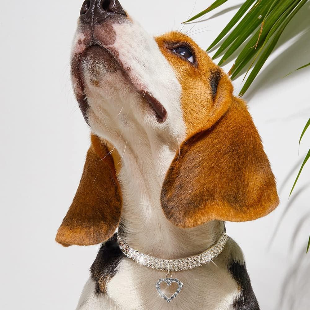 Vòng cổ pha lê cho động vật, dây chuyền thú cưng trong kim cương, vòng cổ mèo, dây chuyền bling cho chó sequin, cho chó và mèo